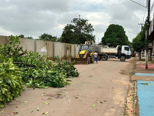 SEMINF realiza remoção de árvores para garantir segurança à população