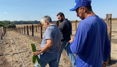 Semam Presta Servi Os No Preparo Da Terra Para Produtores De Pitaya