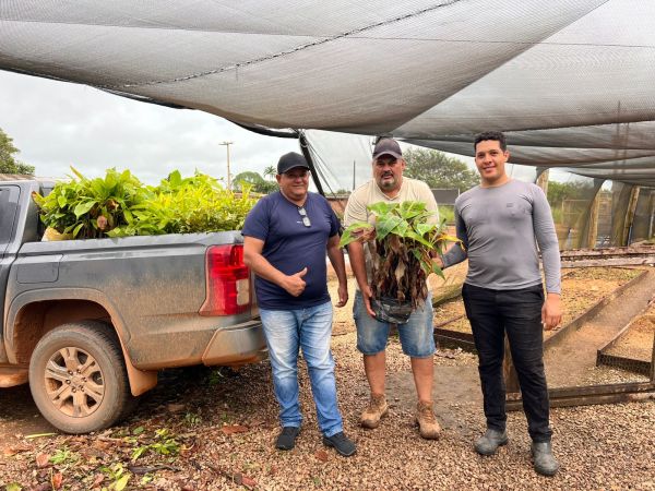 A&ccedil;&atilde;o incentiva reflorestamento e agricultura rural em Candeias