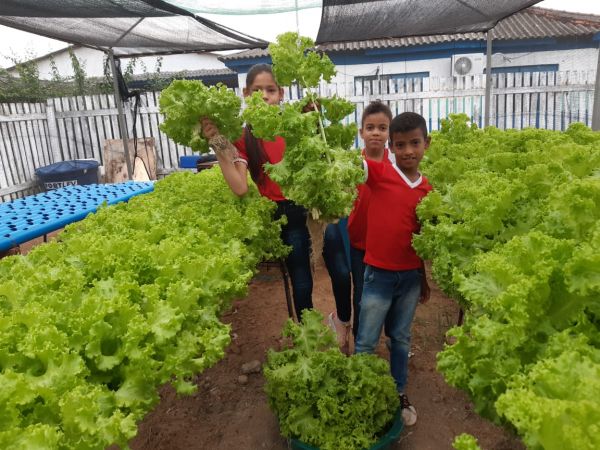 Alunos da Escola Dom João Batista Costa de Candeias do Jamari cultivam horta em escola